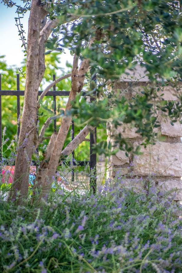 Li Appartamento Tar-Vabriga
